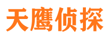 东乡族侦探公司